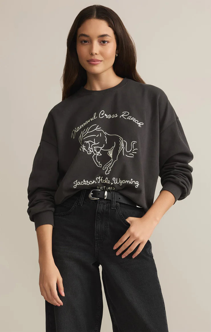 Z Supply Bronc Embroidered Sunday Sweatshirt Hoodie with Pattern Geometric Abstract